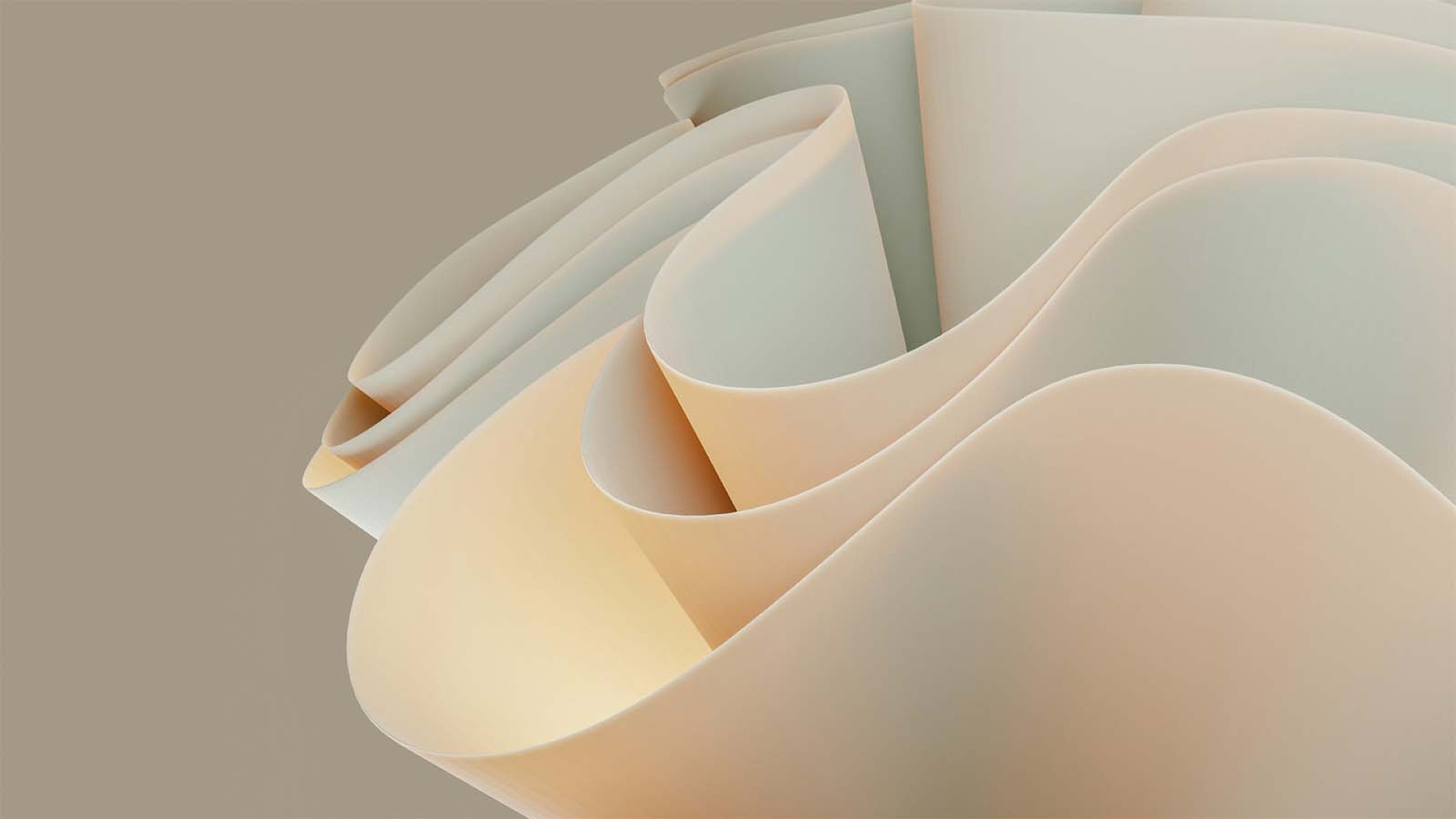 Deimantė Adakauskienė's cover