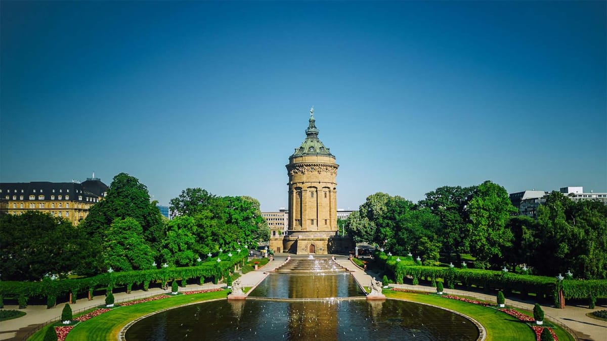 Žiedūnė Žolynė's cover